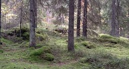 Места силы Карелии