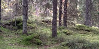 Места силы Карелии