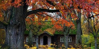 Псков-Пушкинские горы  3 дня