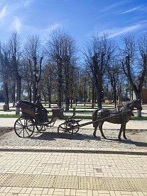 Старая Русса НБ