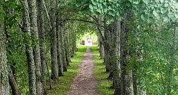 Любенск и Вечаша. Усадьбы Римского-Корсакова