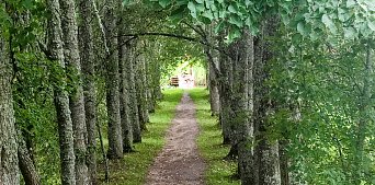 Любенск и Вечаша. Усадьбы Римского-Корсакова