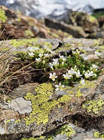 Минеральные воды весна